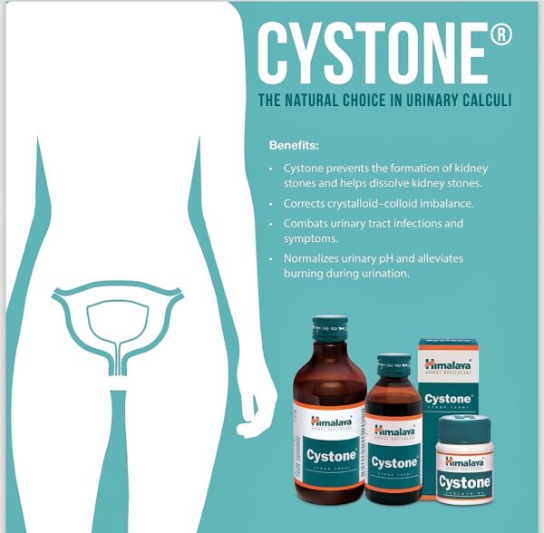 Himalaya Herbals Cystone - Image 3