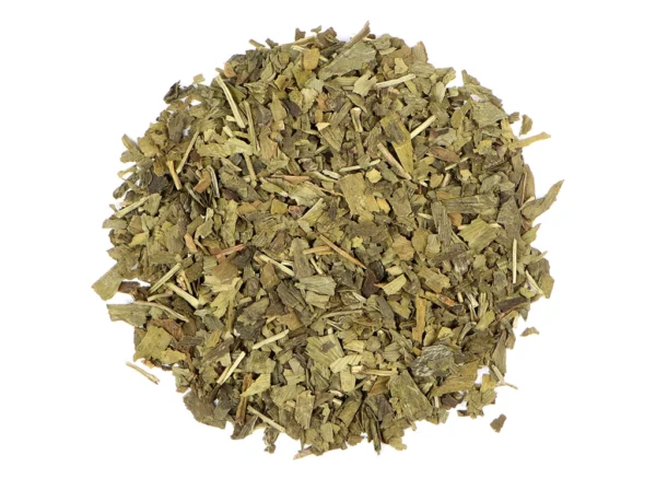 Ginkgo