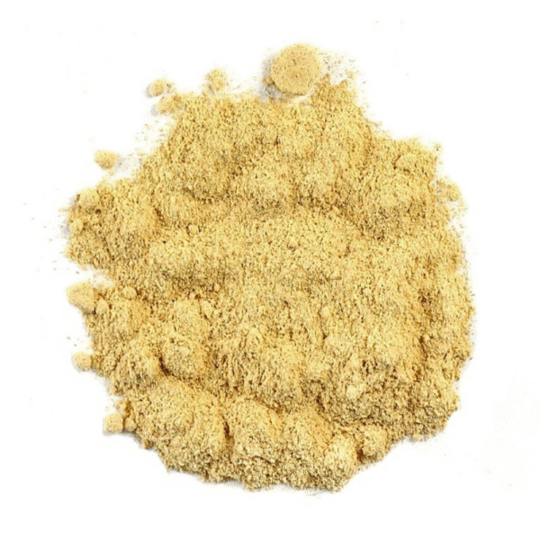 Lion's Mane