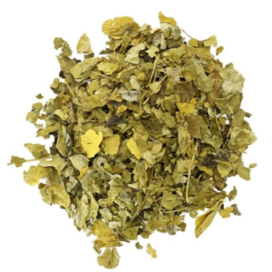 Moringa