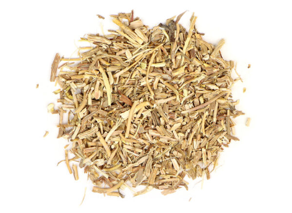 Sarsaparilla
