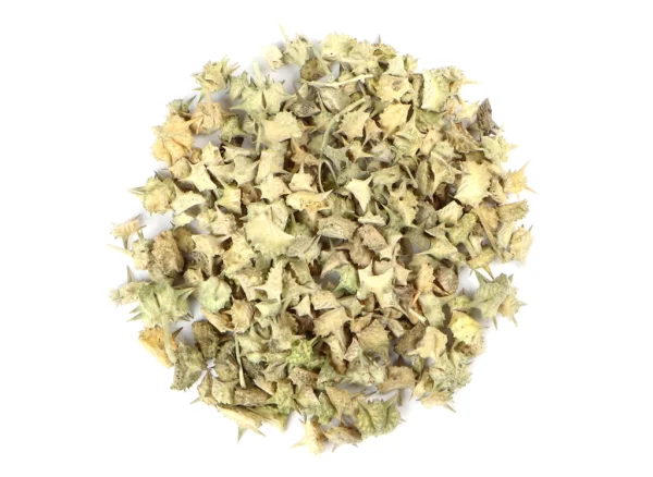 Tribulus