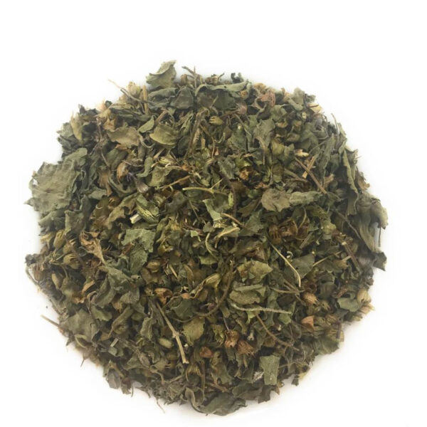 Tulsi (Holy Basil)