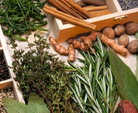 A selection of herbs and spices