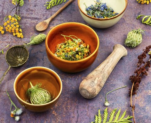 Alternative medicine. Assortment of medicinal and healing herbs