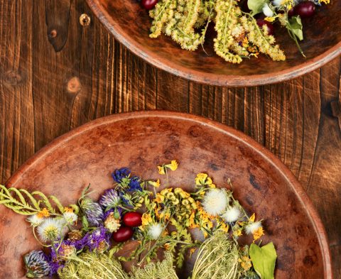 Medicinal herbs and plants in a stylish clay bowl on a wooden background.